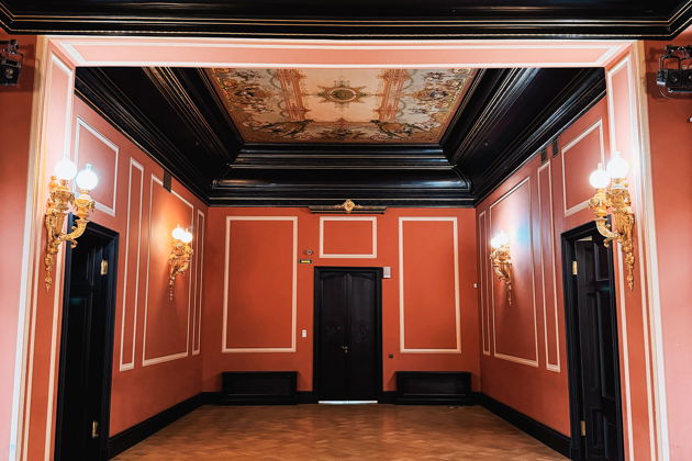 Фото экскурсии - «Элита Петербурга»: особняки Брусницыных и Половцова - 15