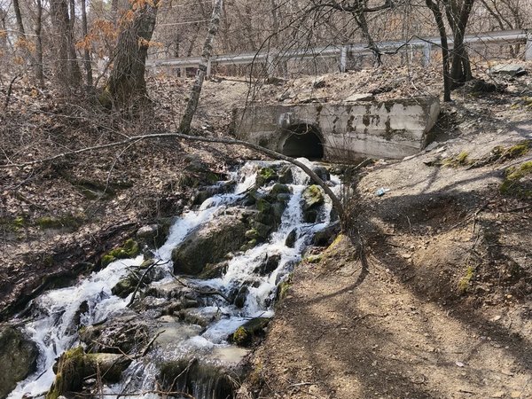 Прогулка к Волчьему обрыву и урочищу Мухинки (из Благовещенска) - фото 3