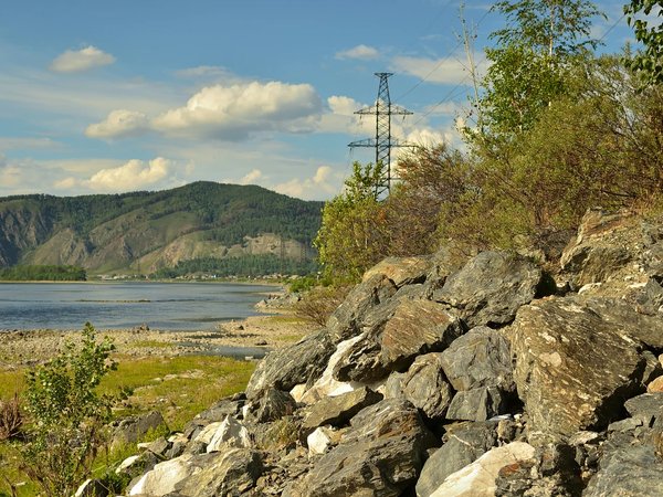 Тигры, море, шашлычок - фото 3