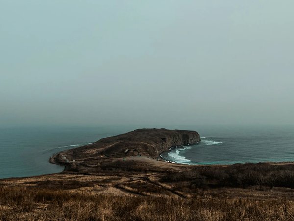 Тигры, море, шашлычок - фото 2