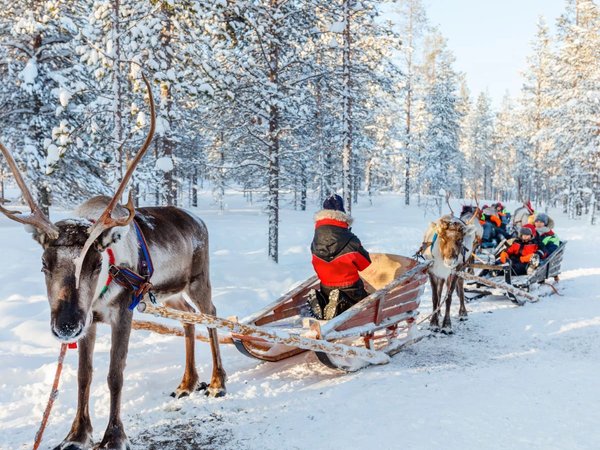 В гости к северным оленям + прогулка по Шуваловскому парку - фото 1