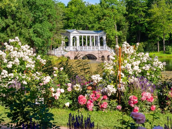 Интерактивная экскурсия по Екатерининскому парку для школьников 8–15 лет