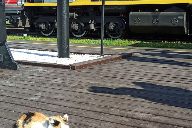 Фото экскурсии - Кругобайкальская железная дорога - гениальное творение инженерной и архитектурной мысли - 13