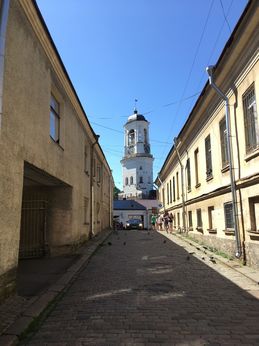 «Я уеду в Комарово»: тур по городкам Финского залива с проживанием в отеле 4* - фото 3