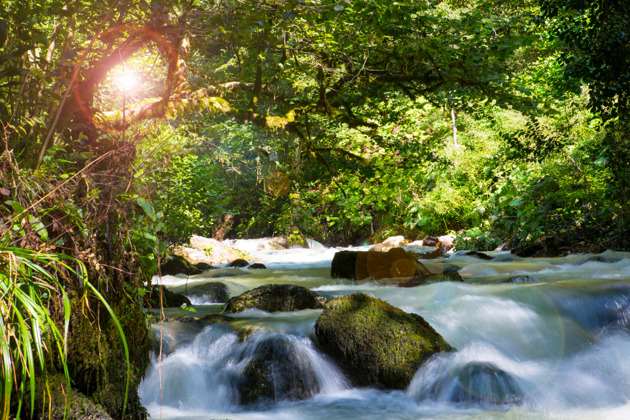 Фото - экскурсия: Джиппинг в СолохАул: Гора Ведьмы, Самшиты, Святой источник и Водопад