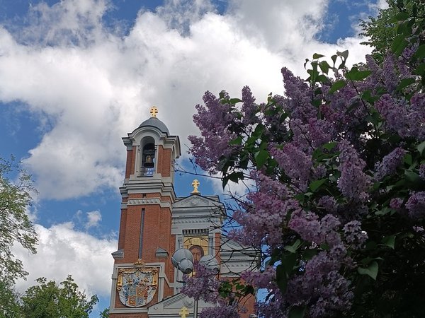 Свидетели истории: из Минска — в Мир и Несвиж (на вашем автомобиле) - фото 4