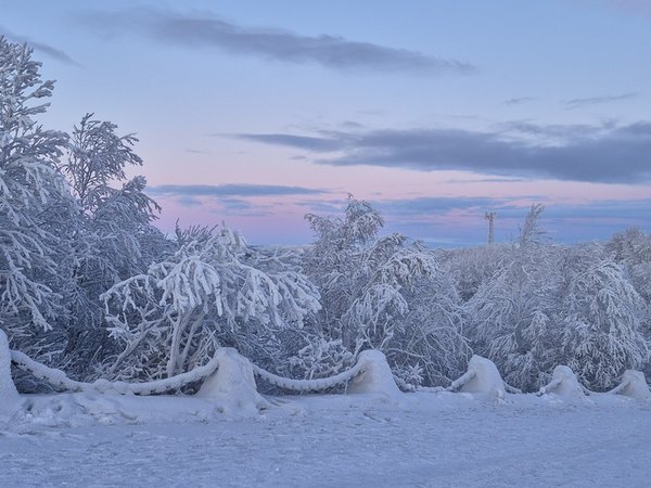 Мурманск  — первое знакомство - фото 4