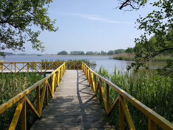 Куршская коса — царство моря, дюн и птичьих голосов - фото 3