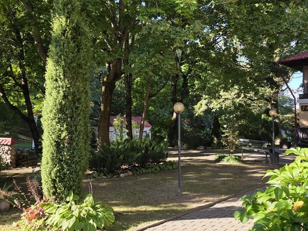 Полоцк: всё самое важное в древнейшем городе Беларуси - фото 4