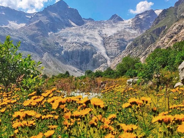Семейный треккинг в Дигории с размещением в гостинице, фото 5