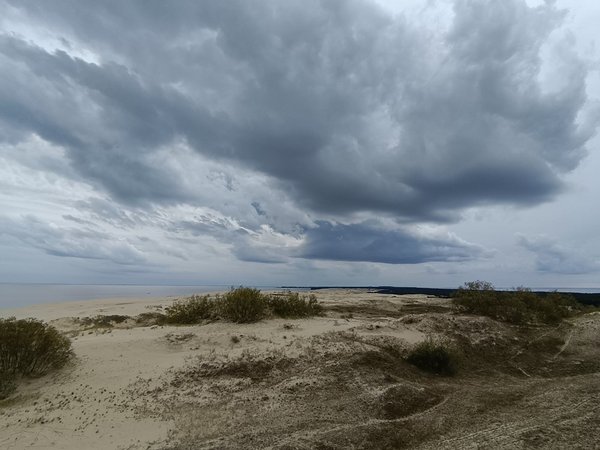 Между морем и заливом — Куршская коса - фото 1