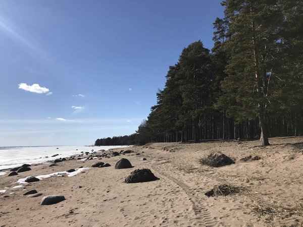 Из Санкт-Петербурга — в заброшенный форт на берегу Финского залива - фото 4