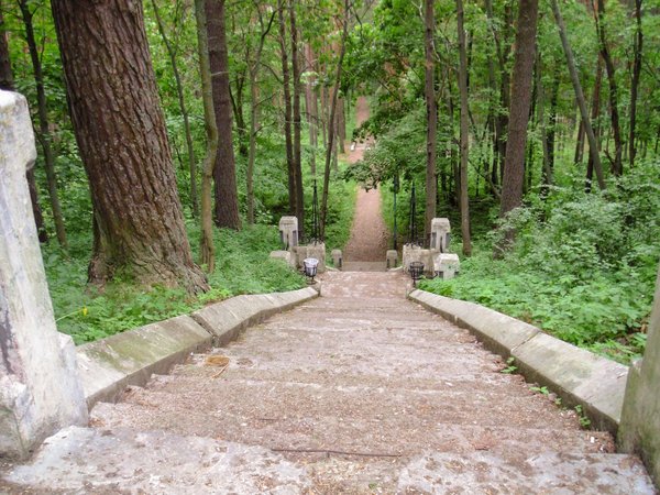 Из Санкт-Петербурга — в заброшенный форт на берегу Финского залива - фото 3