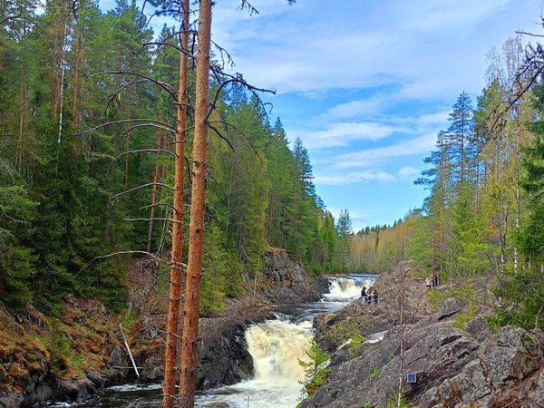 Душевная Карелия: к соснам, скалам и воде - фото 3