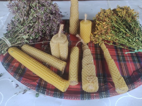 Этнографический музей + пчелиная пасека: из Уфы на 1 день - фото 3