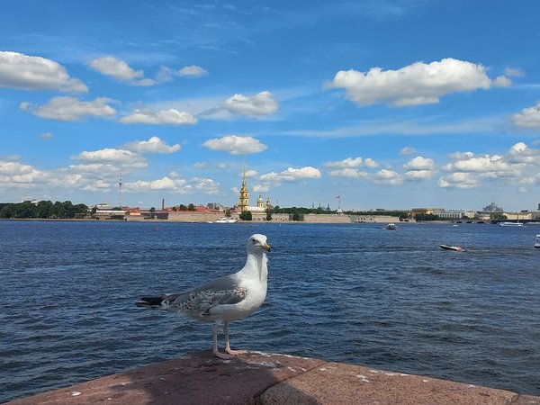 Экскурсия по стрелке Васильевского острова - фото 3