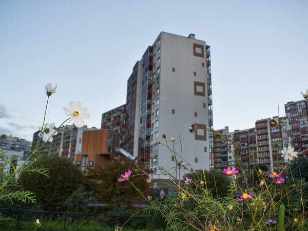 Кудрово: город цветных гигантов через дорогу от Петербурга - фото 1