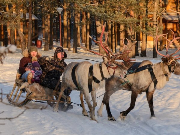 В гости к хаски и северным оленям из Москвы (без трансфера) - фото 3