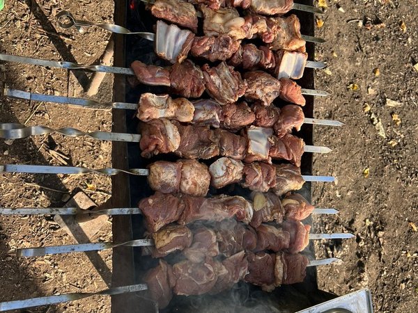 Предгорья Чечни: сады, реки и шашлык на берегу - фото 3