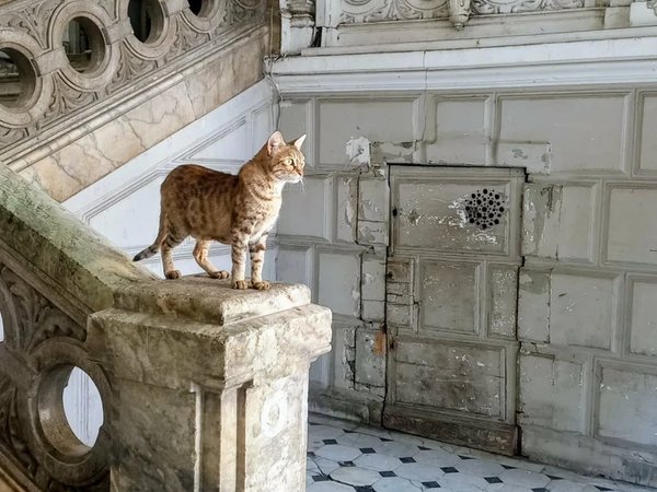 Тифлисский Ренессанс 19 века — Сололаки и Мтацминда - фото 3