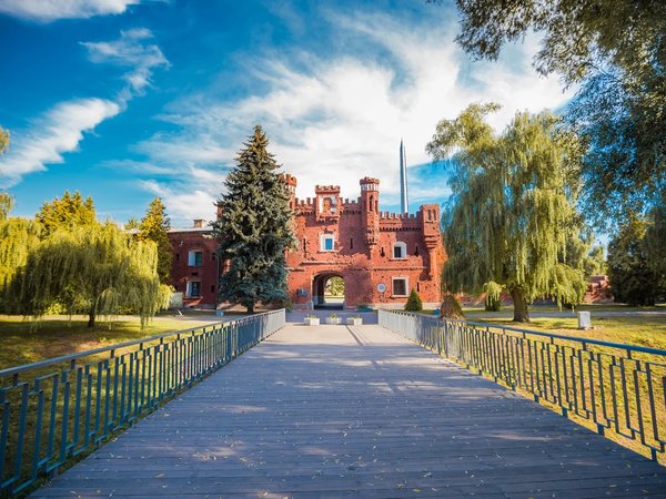 В Беларусь в первый раз: 3 города, замки и экскурсии на выбор - фото 3