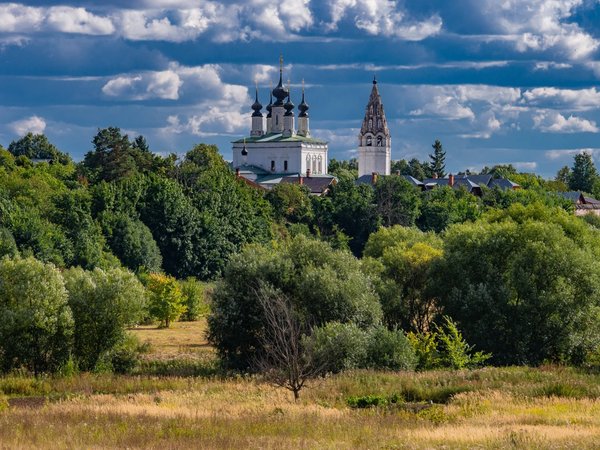 Обзорная экскурсия по Суздалю + чаепитие в трактире - фото 4