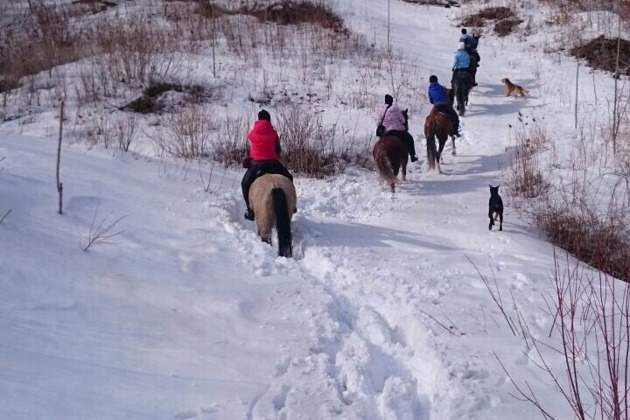 Фото - экскурсия: Конная прогулка по побережью Приморья: открываем бухты Стеклянная и Шамора с необычного ракурса