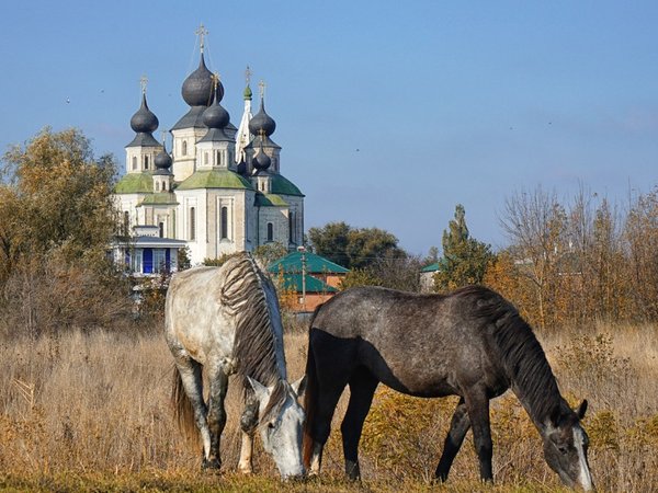 Святыни Донского края - фото 2