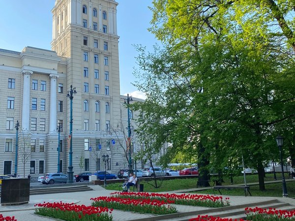 Весь Воронеж — в одном маршруте - фото 3