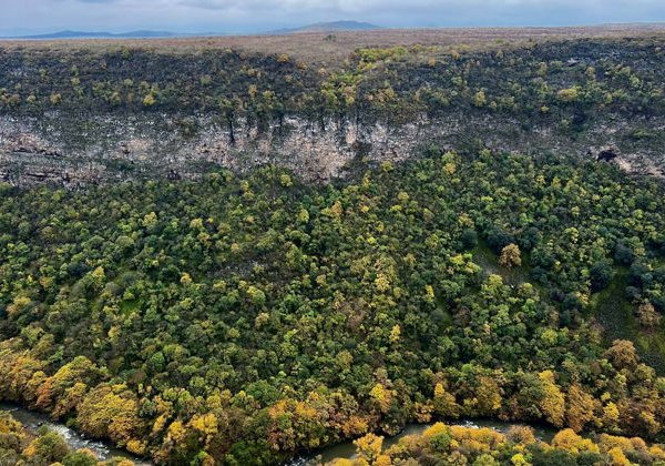 Загадки Картлийского царства: от виноделия к легендам - фото 2