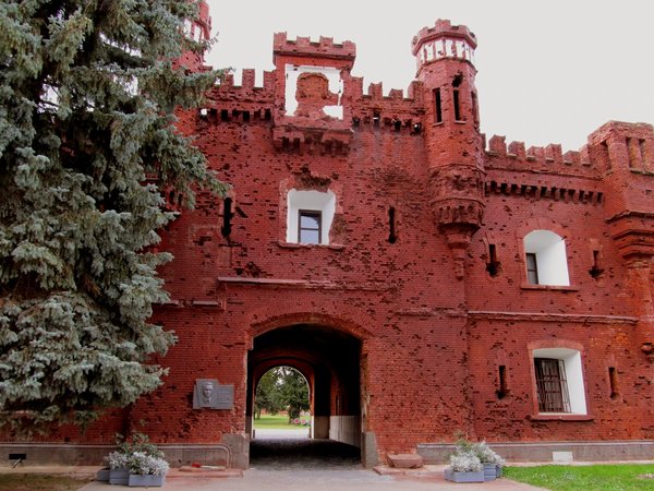 Из Минска — в Брест и Беловежскую пущу - фото 4