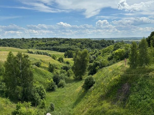Городище Старая Рязань и село Исады (на вашем автомобиле) - фото 2