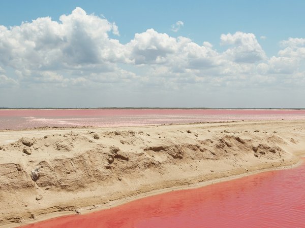 Из Канкуна — в заповедник Рио-Лагартос и древний город Эк-Балам - фото 4