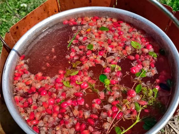 Домбай и Архыз: треккинг налегке с проживанием в гостинице - фото 3