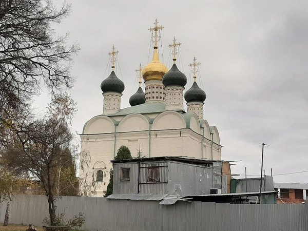«Древний град на Осетре»: из Москвы — в Зарайск - фото 4