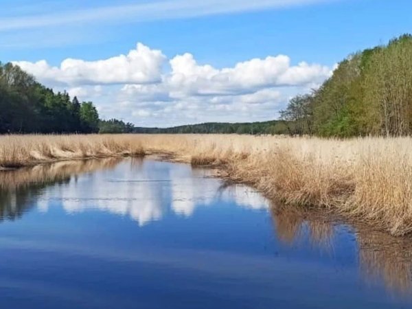 Из Санкт-Петербурга к островам Передовик и Крепыш - фото 2