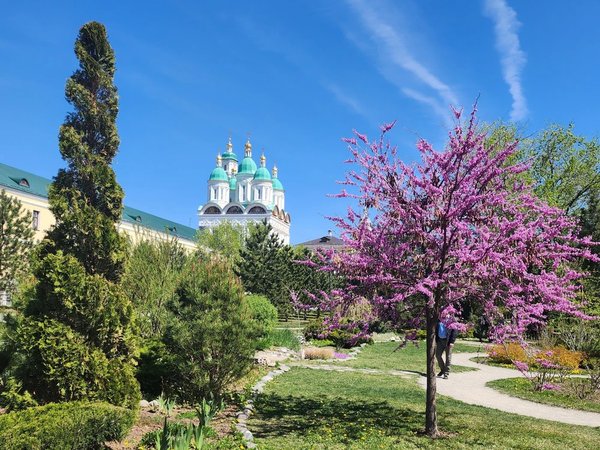 По Астрахани с любовью: от кремля до базара - фото 1