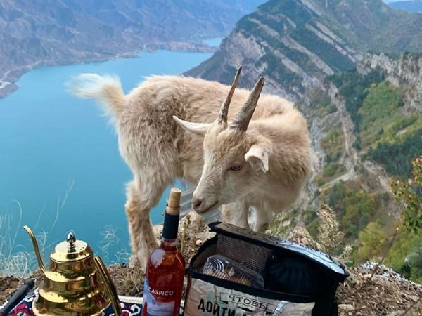 Из Махачкалы — в горы Харачи: лёгкий треккинг и полный ретрит - фото 3
