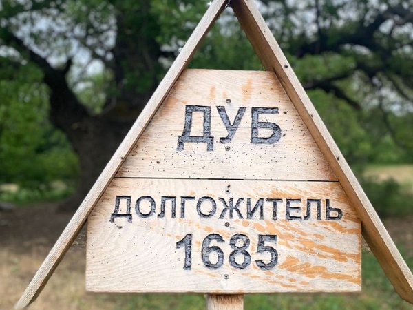 Тропами Сарпинского в Волгограде: от волжских берегов до дубрав - фото 3