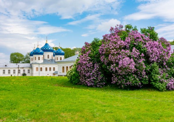 Южные окрестности Великого Новгорода - фото 3