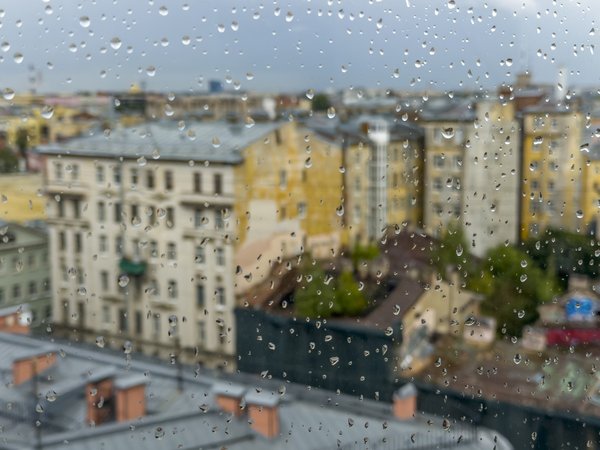 Практика внимания на улицах Петербурга