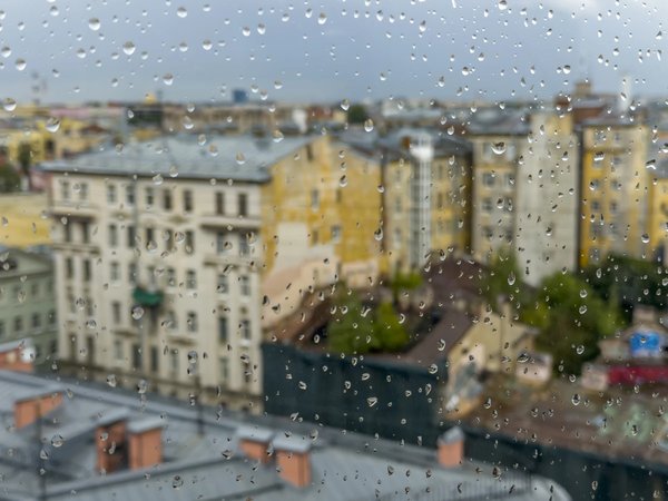 Практика внимания на улицах Петербурга - фото 1