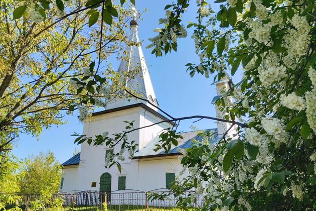 Загородные резиденции русских царей и их приближенных в древней истории России