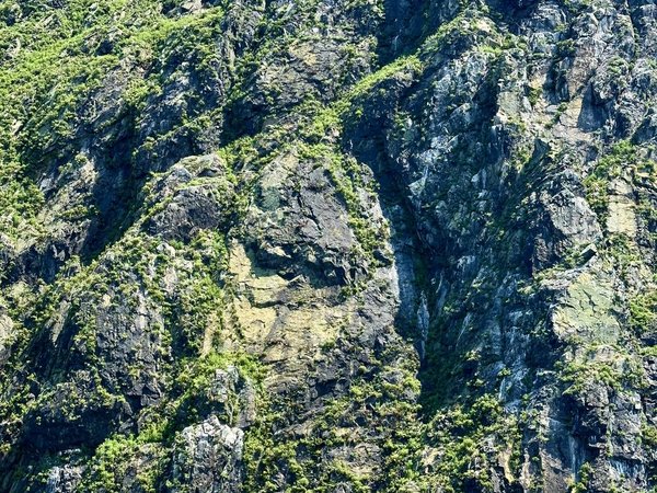 Вокруг императорских островов на катере - фото 4