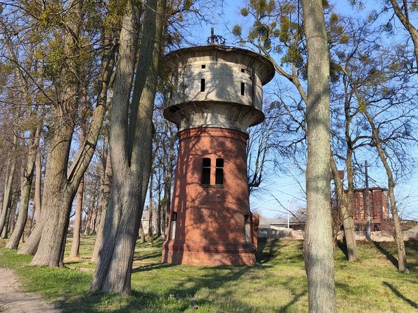 Красота провинциальной Пруссии — из Янтарного или Балтийска - фото 3