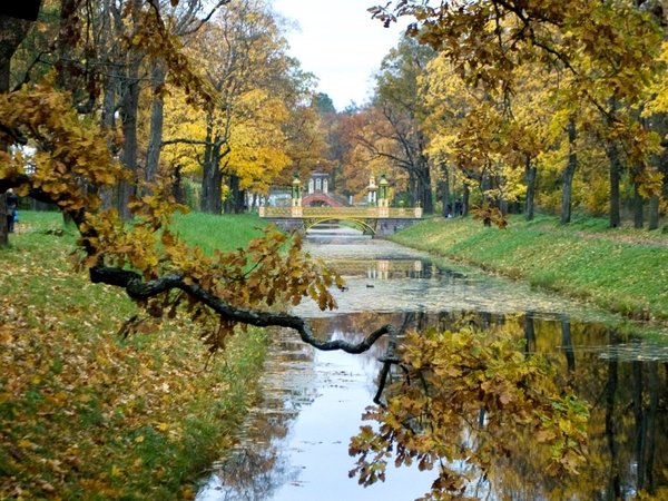 Александровский дворец и истории императорской семьи в Царском селе