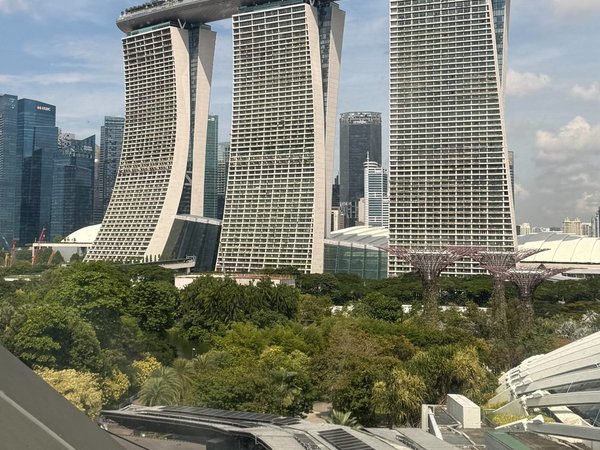 Такой разносторонний Сингапур - фото 2