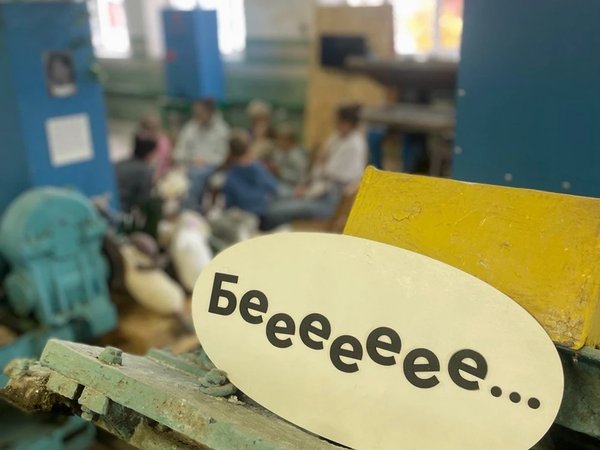 А откуда тепло в шерстинках? - фото 1