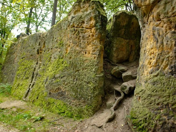 На холм Петршин: квест-экскурсия в мобильном приложении - фото 3