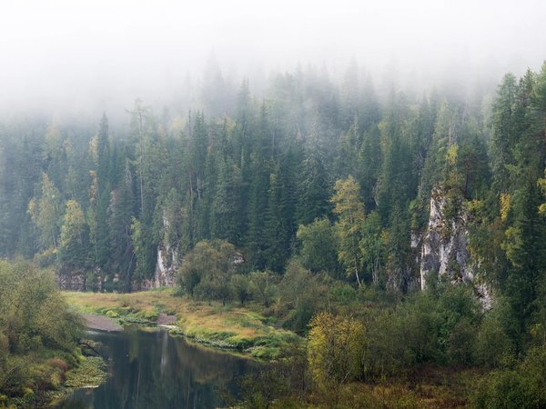 Прогулка и пикник в природном парке «Оленьи ручьи» - фото 3